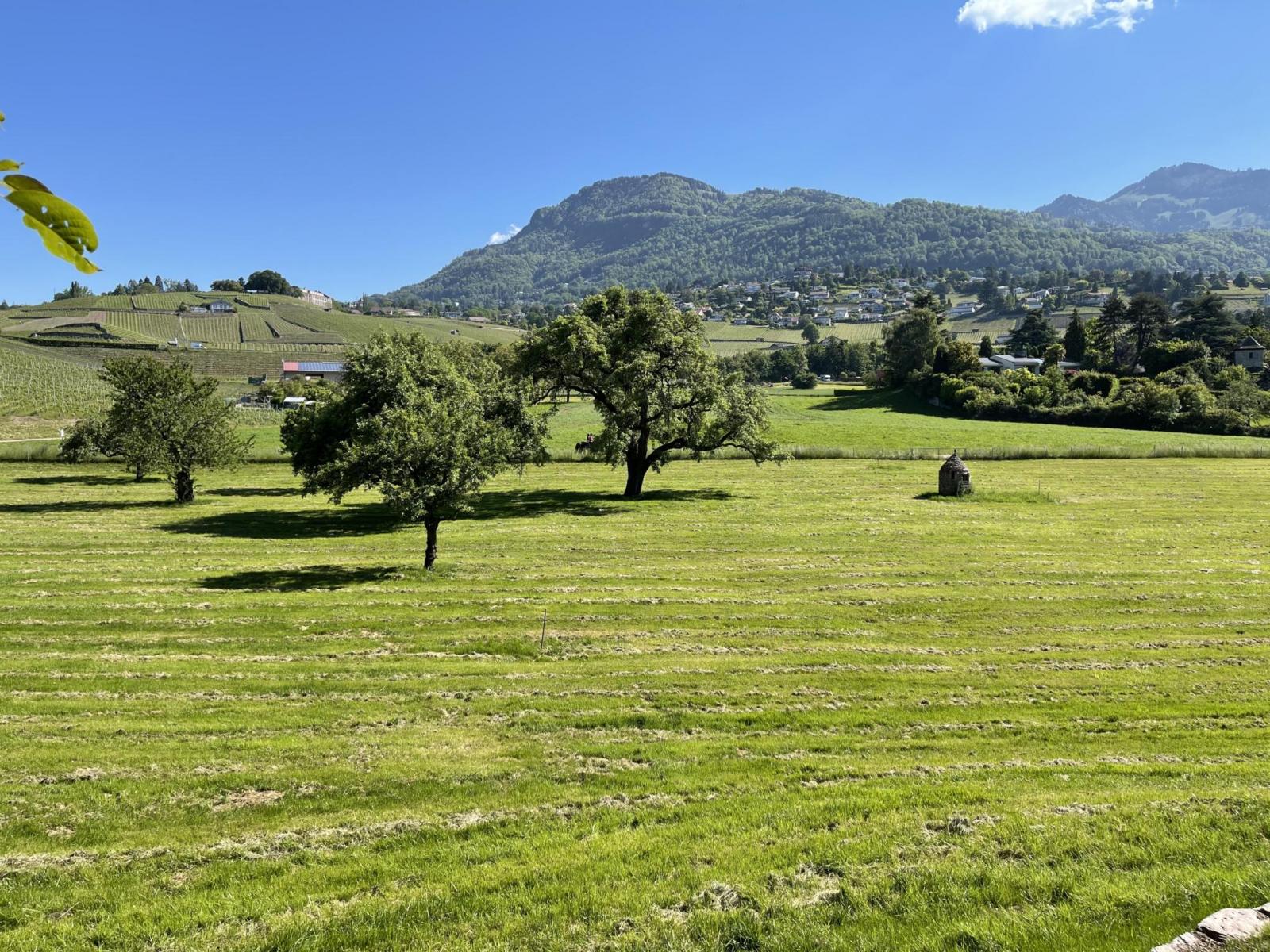 Propriété de caractère - Rare et exclusif ! 