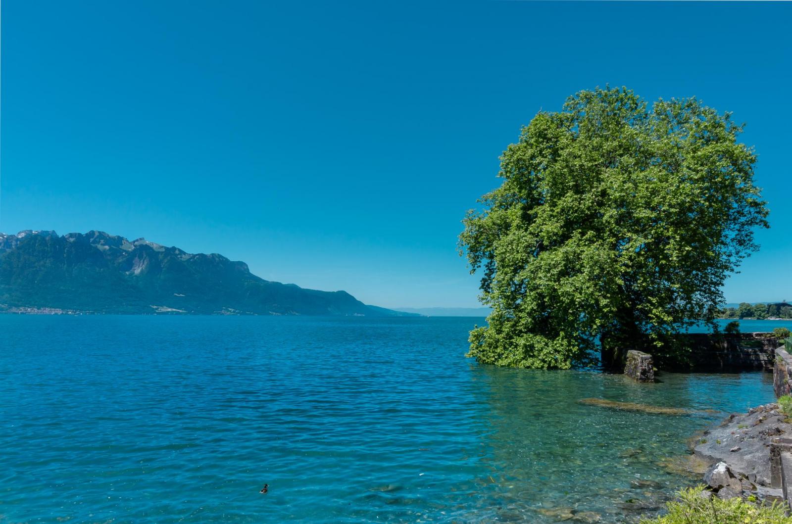 Somptueuse propriété pieds dans l'eau !