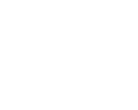 bilan 300