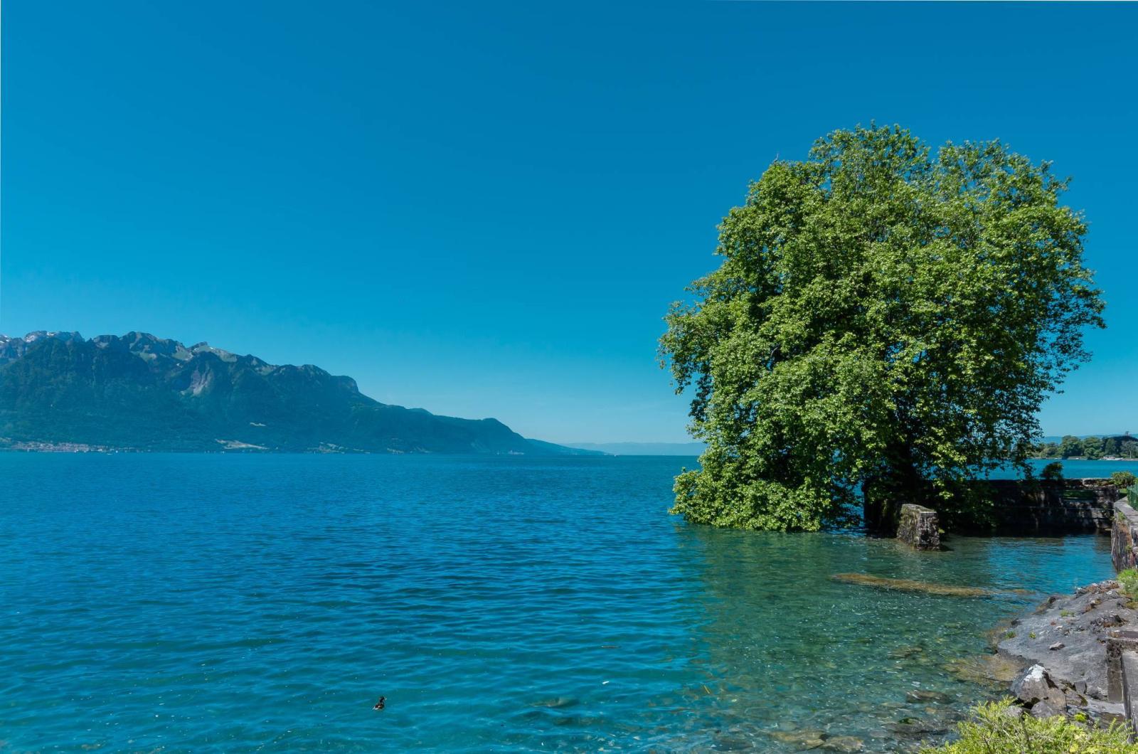 Somptueuse propriété pieds dans l'eau !